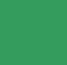 Cooler 12" Kelly Green
