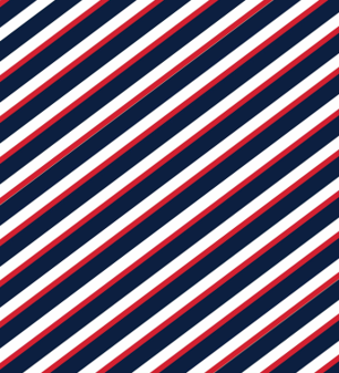 Cooler Tote Insulated Navy Red White Navy Stripe PRE SELL SHIP 11/15