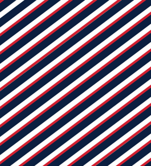 Cooler 12" Navy - Birdie Balou