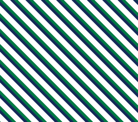 Golf Cart and Car Seat Cover Stripe Navy Green - Birdie Balou